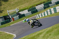 cadwell-no-limits-trackday;cadwell-park;cadwell-park-photographs;cadwell-trackday-photographs;enduro-digital-images;event-digital-images;eventdigitalimages;no-limits-trackdays;peter-wileman-photography;racing-digital-images;trackday-digital-images;trackday-photos